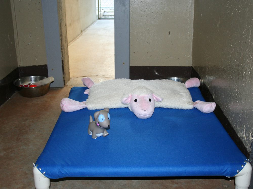 kennel_inside01.jpg